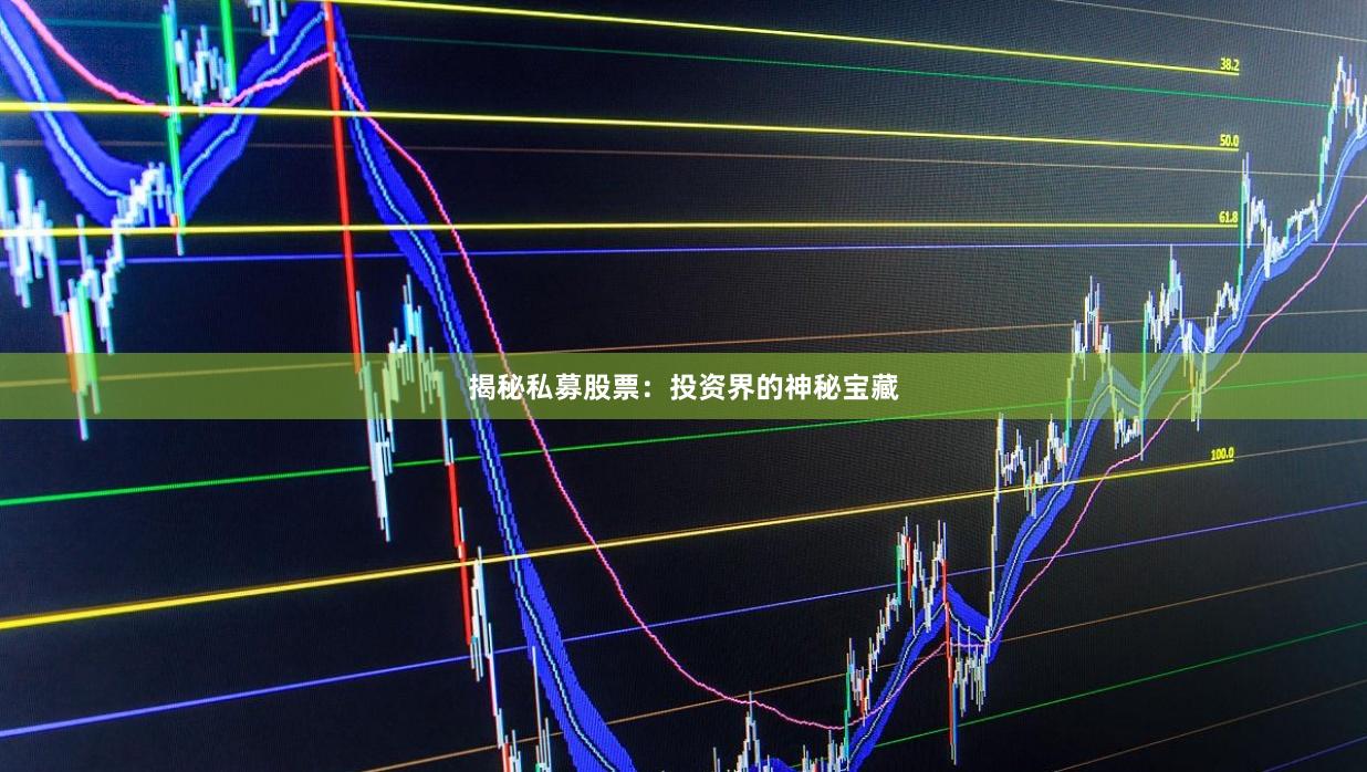 揭秘私募股票：投资界的神秘宝藏