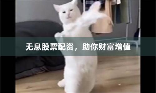 无息股票配资，助你财富增值